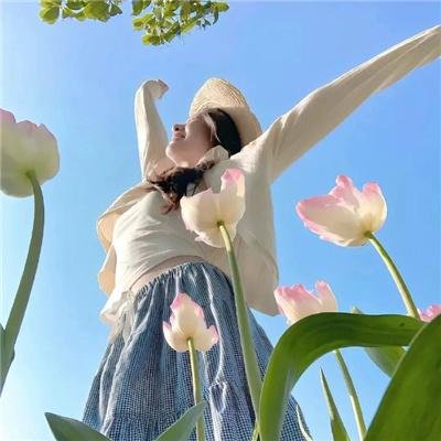 梦游夏威夷
